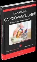 L'anatomie cardiovasculaire