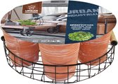 Plantenwinkel Urban Industrial Herbs zaden giftbox