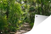 Muurdecoratie Tropische regenwoud van Tulum, Mexico - 180x120 cm - Tuinposter - Tuindoek - Buitenposter