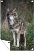 Tuindecoratie Beierse wolf in het bos - 40x60 cm - Tuinposter - Tuindoek - Buitenposter