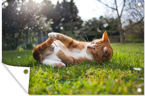 Tuindecoratie Spelende kat in het gras - 60x40 cm - Tuinposter - Tuindoek - Buitenposter