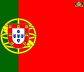 Partychimp Portugese Vlag Portugal - 90x150 Cm - Polyester - Groen/Rood/Geel