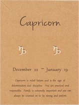 Bixorp Stars Steenbok / Capricorn Oorbellen Goudkleurig Sterrenbeeld - Zodiac Oorknopjes