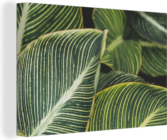 Canvas Schilderij Bladeren - Natuur - Planten - 60x40 cm - Wanddecoratie
