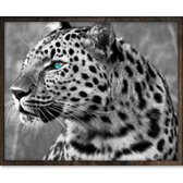 Eagle® Diamond Painting Volwassenen - Luipaard  - 50x40cm - Vierkante Steentjes