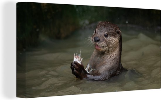 Tableau sur toile Loutre avec de la nourriture dans l'eau - 80x40 cm - Décoration murale