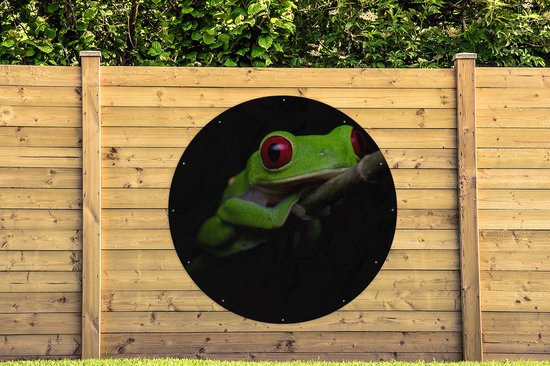 Tuincirkel Roodoogmakikikker op zwarte achtergrond - 150x150 cm - Ronde Tuinposter - Buiten