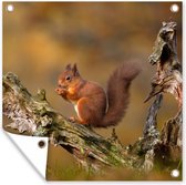 Poster de Jardin Ecureuil roux en automne - 200x200 cm - Toile jardin - Poster extérieur