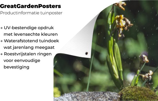Tuinposter 40x80 cm - Tuindecoratie Vogelbad - Mus - Water - Poster voor in de tuin - Buiten decoratie - Schutting tuinschilderij - Tuindoek muurdecoratie - Wanddecoratie balkondoek