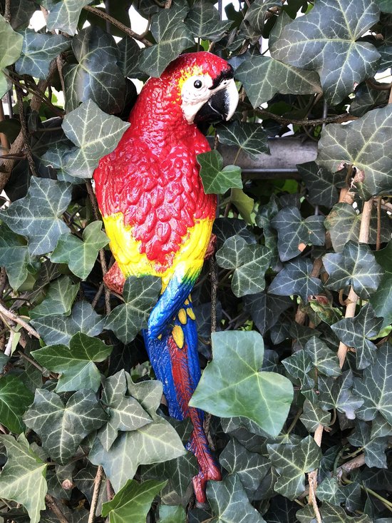 Figurines de perroquet bleu en fonte : décoration colorée pour la maison et le jardin - France
