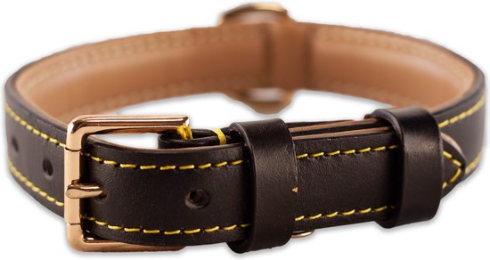 Wat leuk blad Taille Brute Strength - Luxe leren halsband hond - Zwart - M - (36 - 43 cm) x  2,5cm | bol.com
