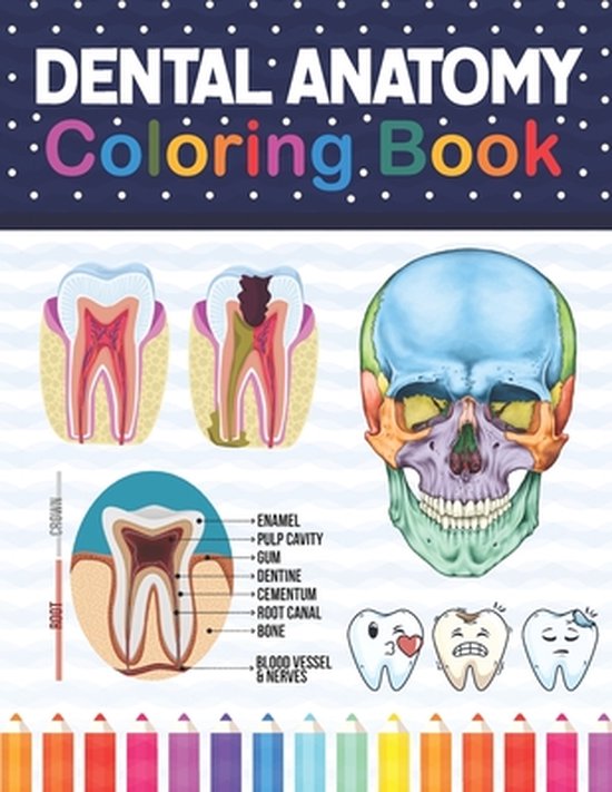 Titelpagina van het 'Dental Anatomy Coloring Book' met anatomische illustraties van tanden en een schedel, met potloden onderaan.