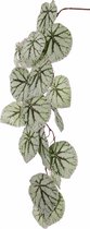 Begonia Rex - Koningsbegonia - kunstplant - hangend - 18 bladeren - 111cm - real feel