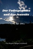 Der Todesprozess und das Jenseits (Paperback)