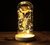beauty and the beast roos  | Gouden Roos in een glazen stolp met LED verlichting | Valentijn cadeautje voor haar |goud|  Valentijn decoratie | verjaardag cadeau | voor haar | voor