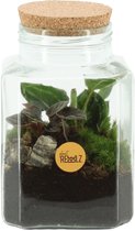 DIY Terrarium | Blocky Soldier