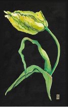 Dubbele kaart met env. Franse Tulp 11,5x17,5cm