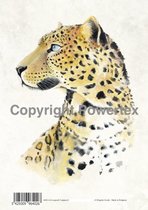 A4 Powerprint paper Leopard