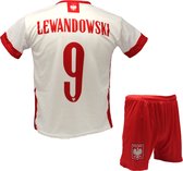 Robert Lewandowski Voetbalshirt + broekje Voetbaltenue - Polen EK/WK voetbaltenue - Maat L