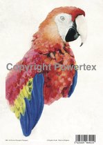A4 Powerprint paper Parrot