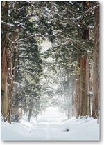 Winter Poster - Sneeuwbos bij Togakushi-heiligdom, Japan - A1 Poster Staand - 59x84cm - Besteposter - Natuur - Landschap