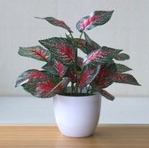 van Dam Exclusive® Kunst plant - Rode perilla - Kamer plant - Kunstmatige plant - Decoratie