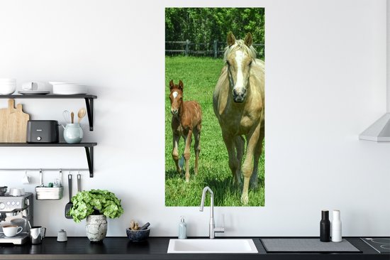 Affiche Cheval - Poulain - Animaux - 60x120 cm