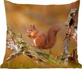 Sierkussens - Kussentjes Woonkamer - 60x60 cm - Rode eekhoorn in de herfst