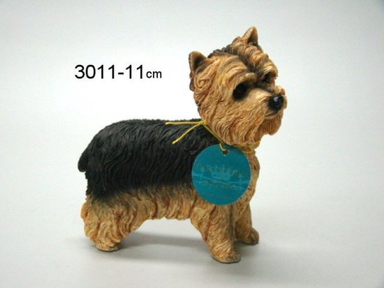 hond Yorkshire Terrier