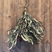 Mistletoe kerst decoratie | Maretak | Hulst kerst | BloomitUp