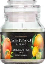 Dr. Marcus Senso Home Geurkaars | Sensual Citrus | 130 Gram | 6 in een verpakking