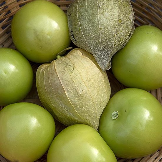 Tomatillo zaden Tomatillo Giant bol