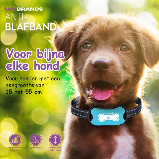 MM Brands Anti Blafband – Anti Blaf Apparaat – Trainingsband voor honden - Diervriendelijk – Vibratie en Ultrasoon Geluid – Roze en Blauw - MM Brands