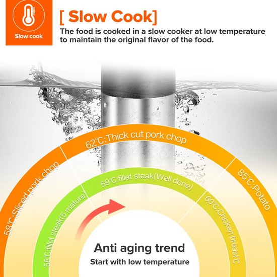 Sous vide stick slow cooker