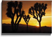Walljar - Palm Trees At Sunset - Muurdecoratie - Canvas schilderij