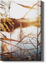 Walljar - Riet Met Zonsondergang - Muurdecoratie - Canvas schilderij