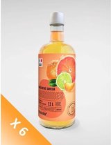 MY SODA 6FR1104 - Partij van 6 Citrus Flavour Concentrates 685ml
