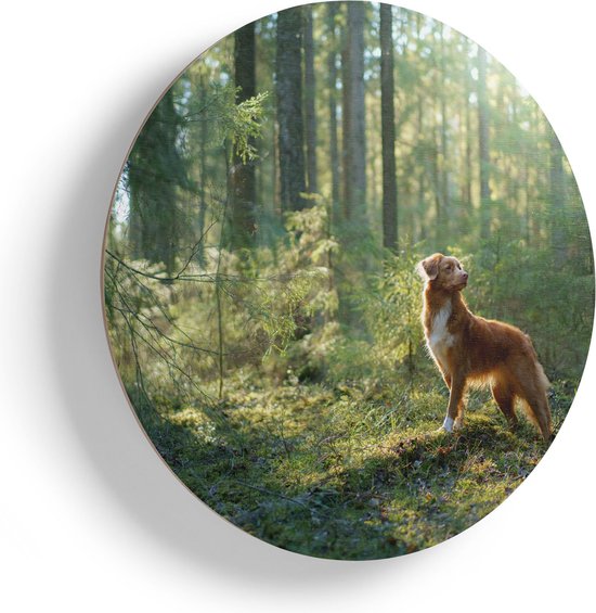 Artaza Houten Muurcirkel - Retriever Hond In Het Bos Met Zon - Ø 75 cm - Multiplex Wandcirkel - Rond Schilderij
