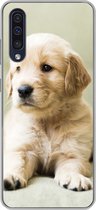 Geschikt voor Samsung Galaxy A50 hoesje - Golden Retriever puppy liggend op de bank - Siliconen Telefoonhoesje