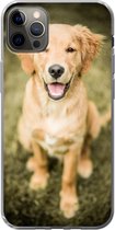 Geschikt voor iPhone 13 Pro Max hoesje - Een portret van een Golden Retriever puppy in de tuin - Siliconen Telefoonhoesje