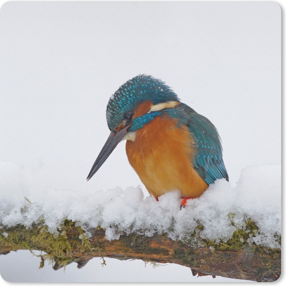 Muismat 20x20 cm - Mousepad IJsvogel - Sneeuw - Winter - Muismatten