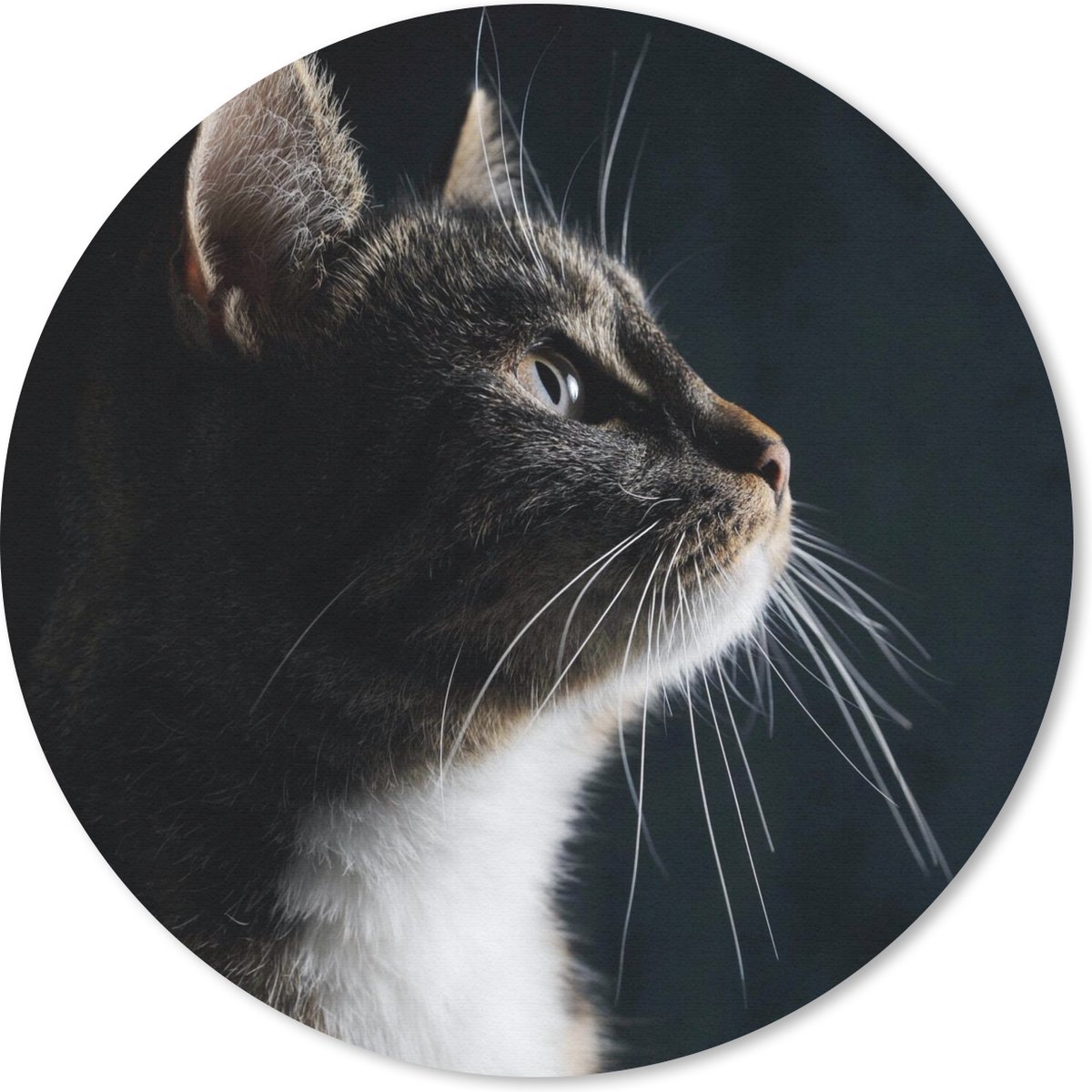 Muismat rond 40x40 cm - Mousepad Huiskat - Ronde muismatten
