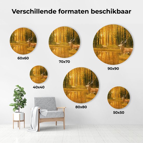 Cercle Mural Artaza Dibond - Deux Cerfs Dans La Forêt Près De L' Water - Ø 40 cm - Klein - Cercle Mural - Tableau Rond - Pour Intérieur Et Extérieur