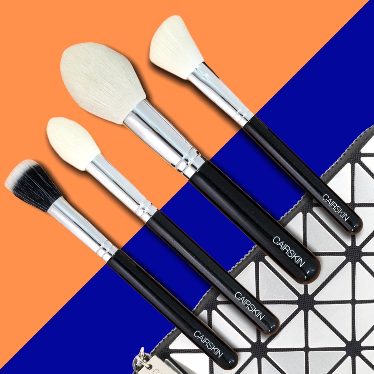 CAIRSKIN Professional Make-up Set 4 Brushes + Beauty Etui Set - Pretty  Powdering -... | bol.com