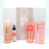 CAFE MIMI Bodycare GiftBox - Gezichtsverzorging Geschenkset - Cleansing Facial Mousse 150ml - Facial Micellar Solution Rose Clay 200ml - Nutritious Facial Cream SPF15 50 ml - Facial Mist 50 m