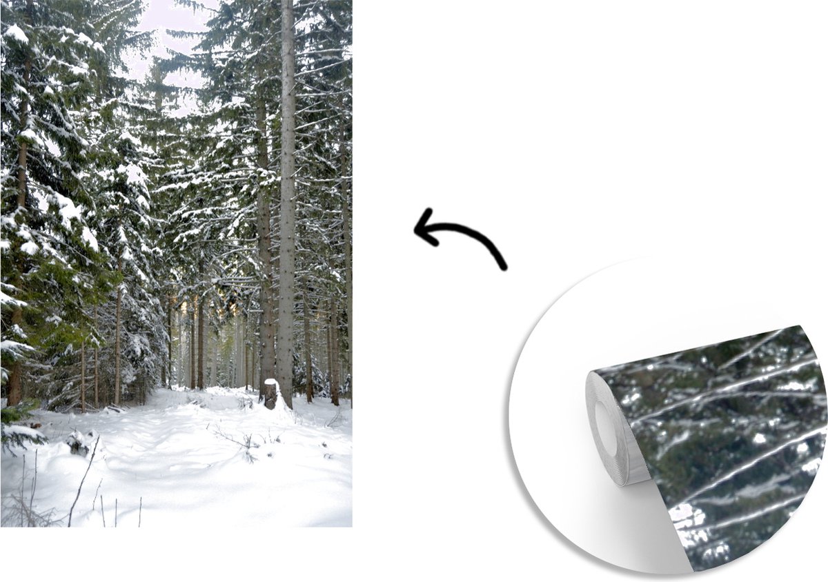 Behang - Fotobehang De winterbomen in het bos bij Wenen in Oostenrijk - Breedte 175 cm x hoogte 260 cm