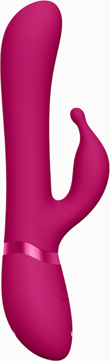 Goedkoopste Vive Chou – Luxe Vibrator met verwisselbare clitoris sleeves – Roze