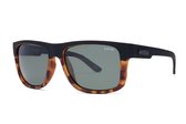 Liive Vision | Zonnebril | Sync | Polar Black Gold Tort