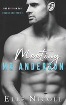 The Men Series - Interconnected Standalone Romances- Meeting Mr Anderson