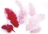 Veren gemengd - Roze, licht roze, rood - 10gram veren - 3-10cm